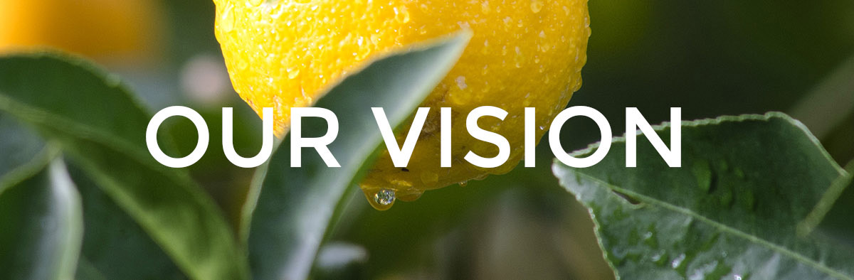 The vision of the church